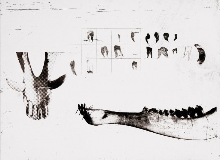Age Evaluation | etching | 40×35 cm | 2015